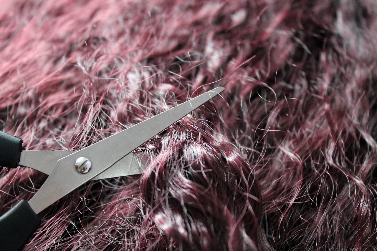 Scissors trimming plum curls